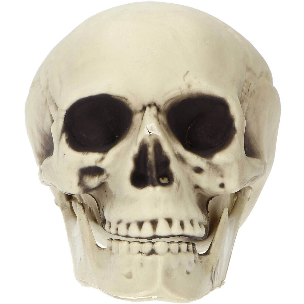 Halloweenská dekorace lebka