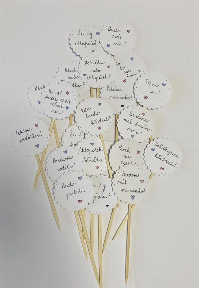 Handmade originální napichovátka KLUK, NEBO HOLKA? 20ks