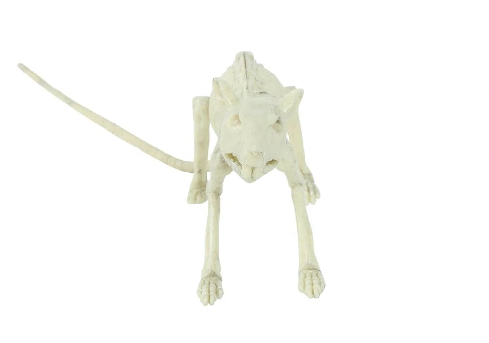 Halloweenská dekorace kostra krysy 20 cm