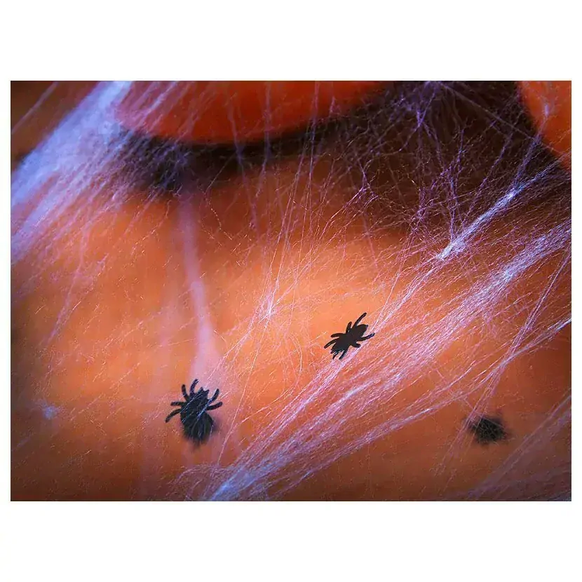 Konfety pavouci - 15g