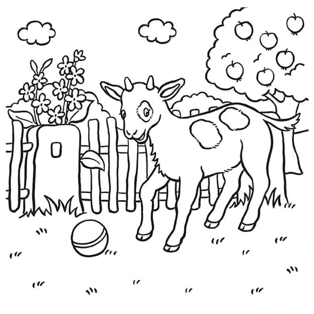 Pexeso v sešitu Zvířátka - Mláďátka