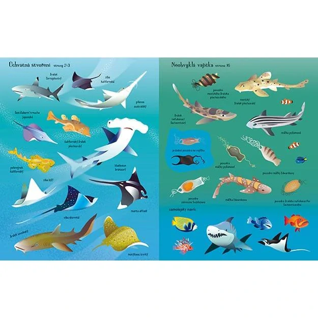 Samolepková knížka Žraloci a rejnoci