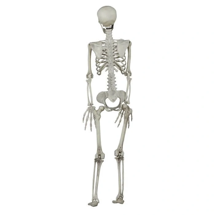 Halloweenská dekorace Kostra 90 cm