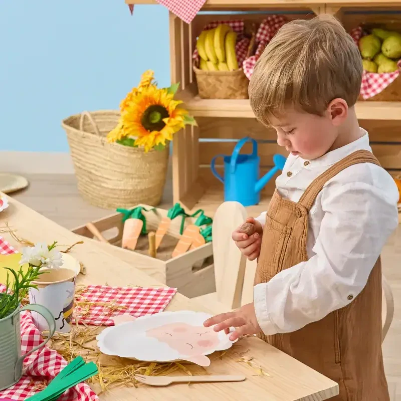 Papírové talíře Farma zvířátka 22 cm - 6 ks