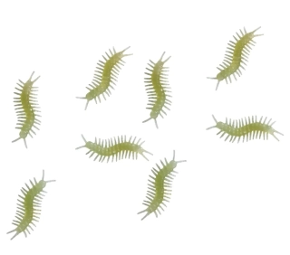 Plastové stonožky svítící ve tmě 8 ks