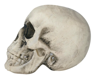 Halloweenská dekorace pěnová lebka