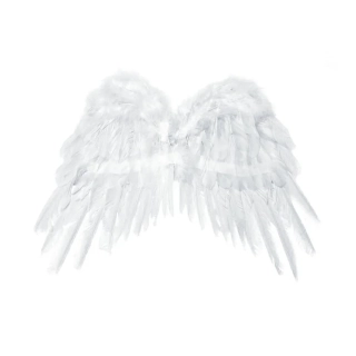 Andělská křídla bílá 53x37 cm