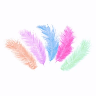 Peříčka barevná mix 50 ks, 10 -15 cm