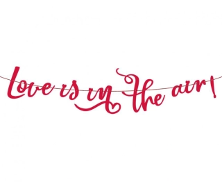 Papírová girlanda - Love is in the air - 200 cm