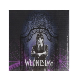 Papírové ubrousky Wednesday 20ks