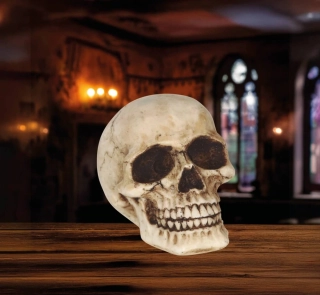 Halloweenská dekorace pryskyřicová lebka
