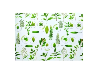 Balící papír Botanica