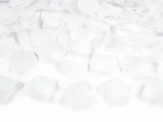 Lístky růží bílé 500 ks