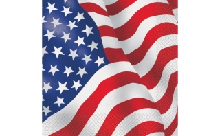 Papírové ubrousky USA 16 ks