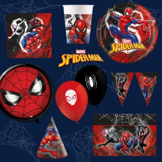 Dekorační sada Spiderman - World of Web