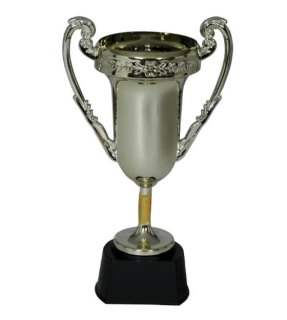 Pohár vítězství zlatý 1. místo - 20 cm