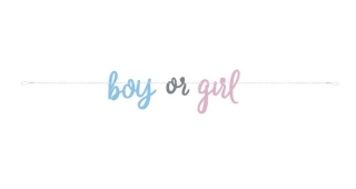 Banner Boy or Girl 213 cm