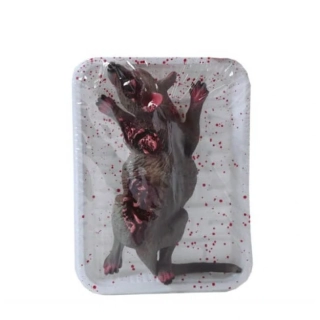 Halloweenská dekorace Mrtvá krysa na tácku