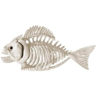 Halloween dekorace Kostra piraně 25 cm