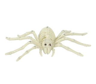 Dekorace kostra pavouka 24 cm