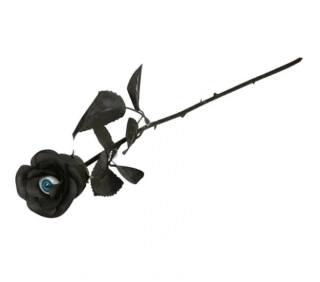 Halloweenská dekorace černá růže s okem